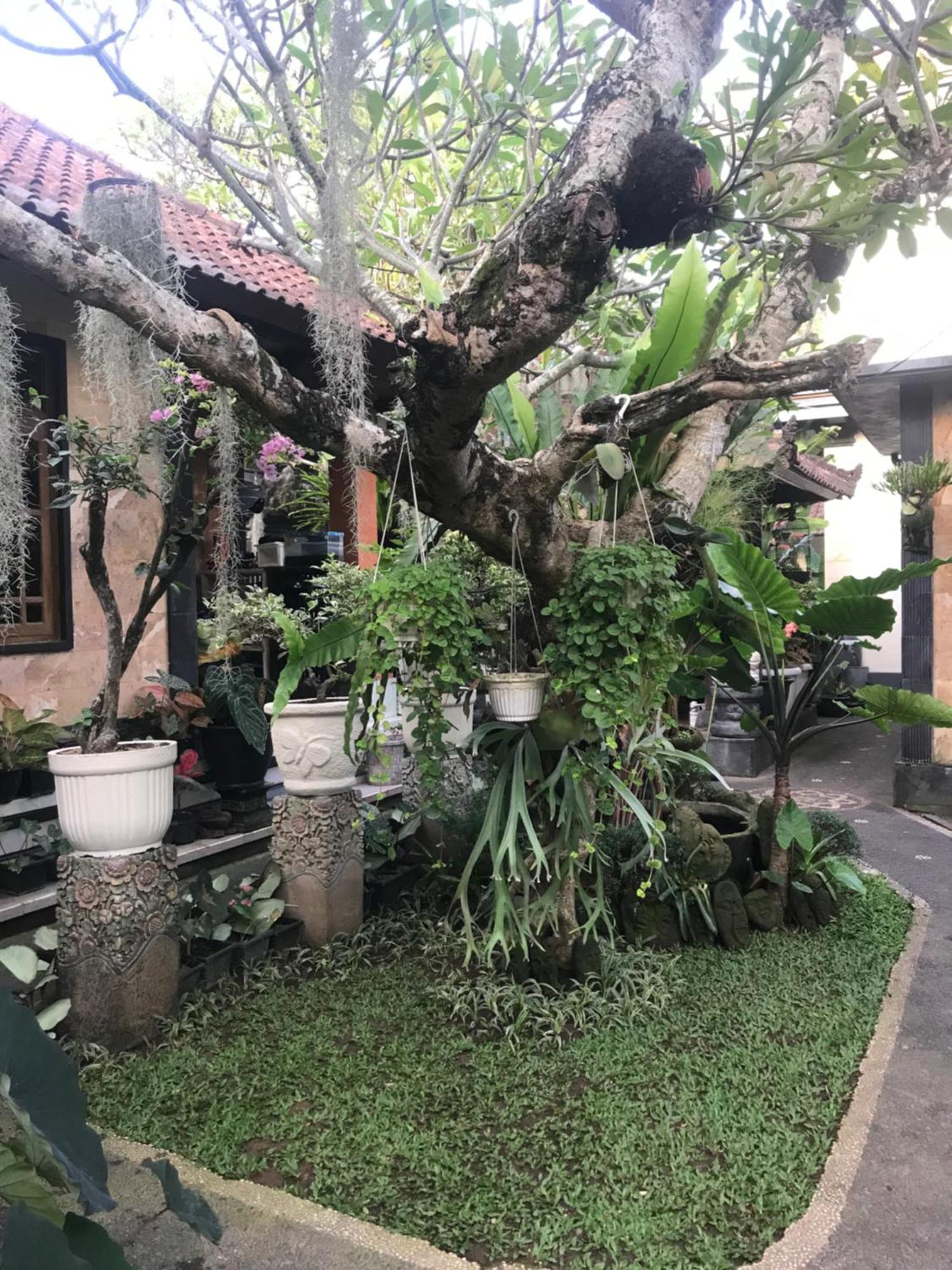 Gus Arditya Homestay Ubud Extérieur photo