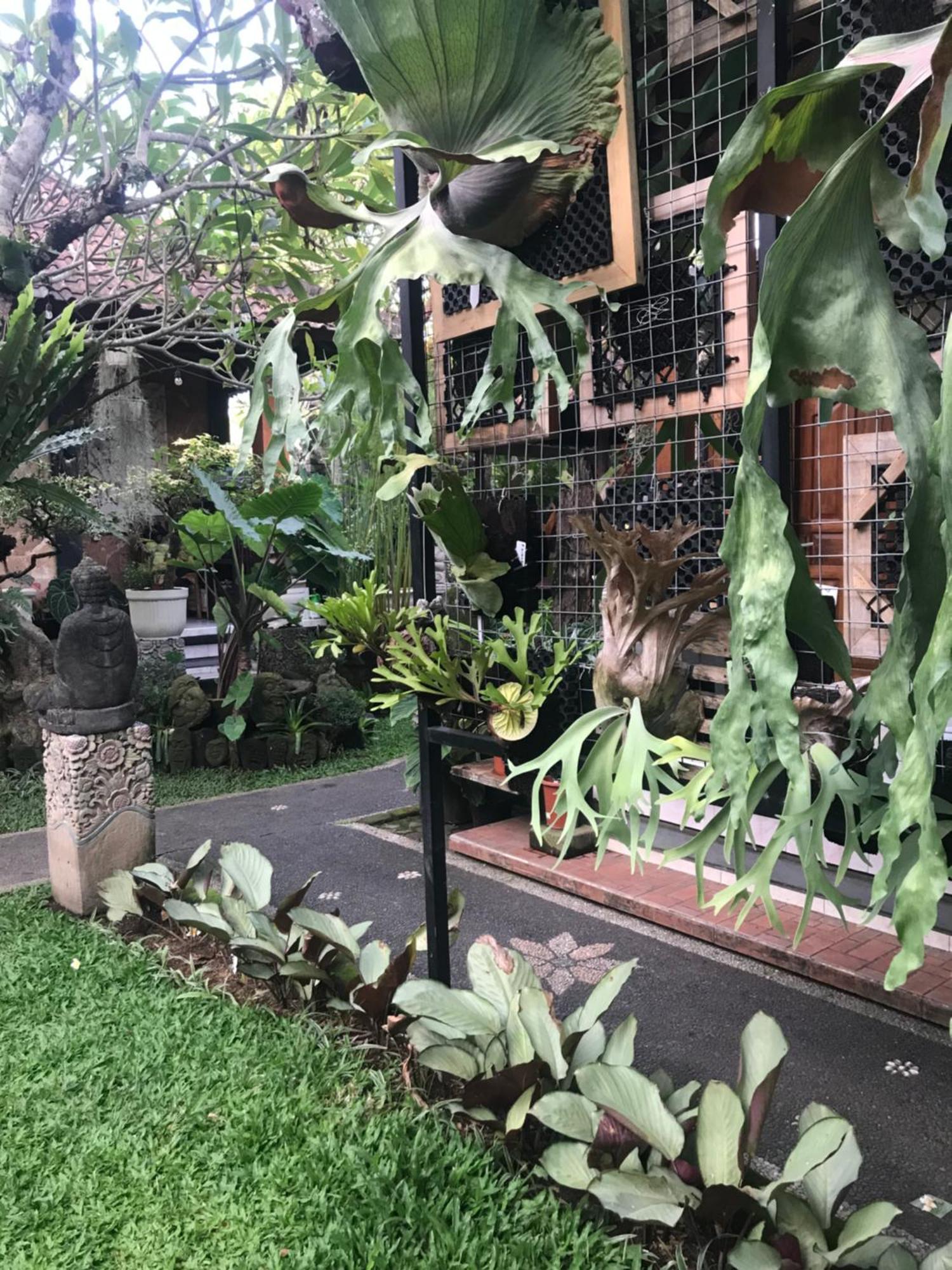 Gus Arditya Homestay Ubud Extérieur photo