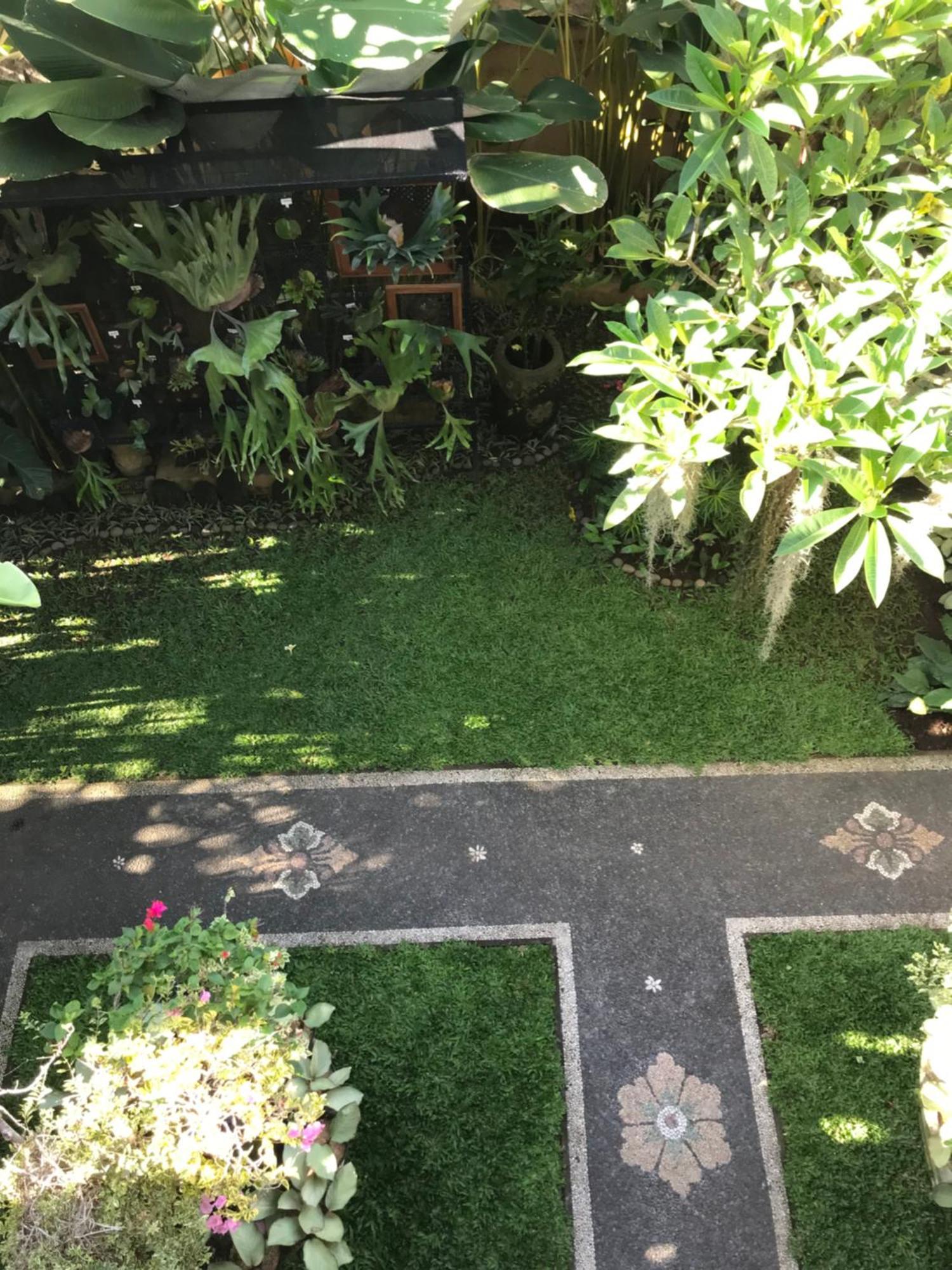 Gus Arditya Homestay Ubud Extérieur photo