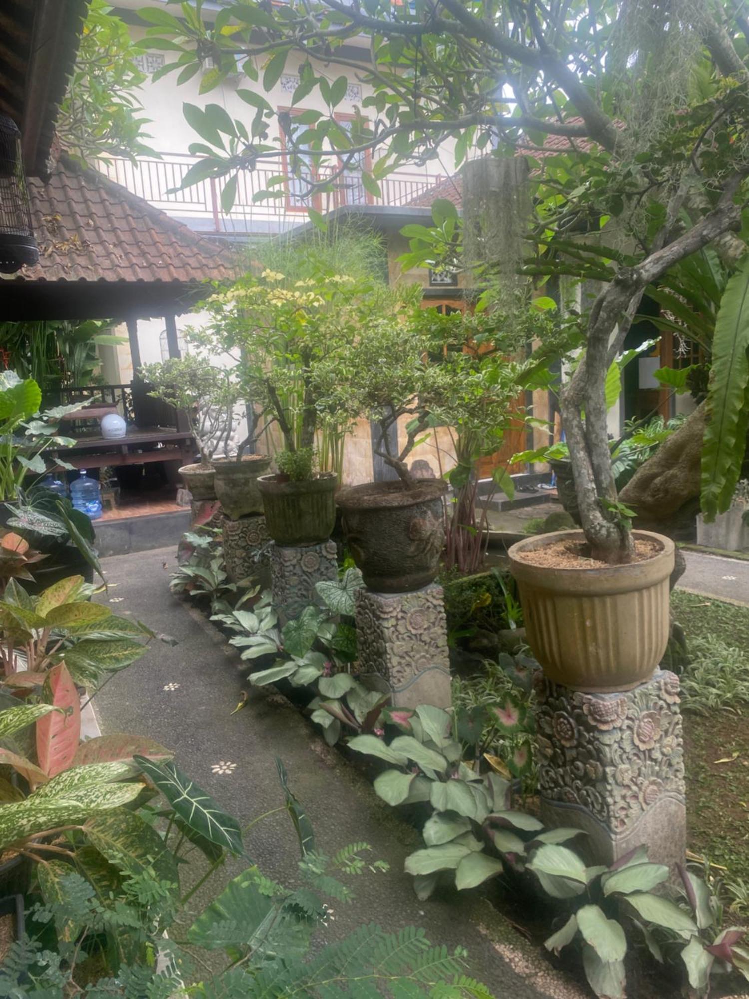 Gus Arditya Homestay Ubud Extérieur photo