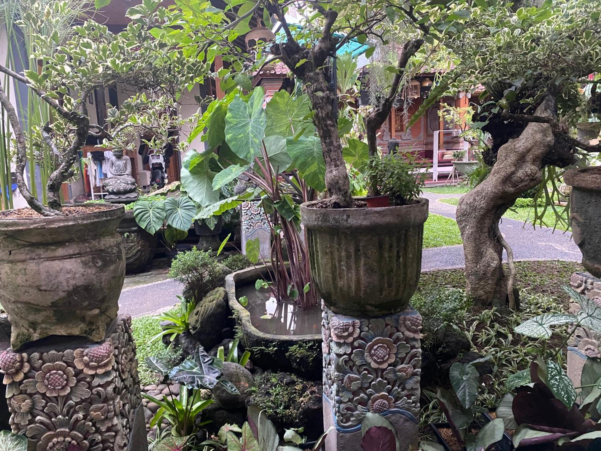 Gus Arditya Homestay Ubud Extérieur photo