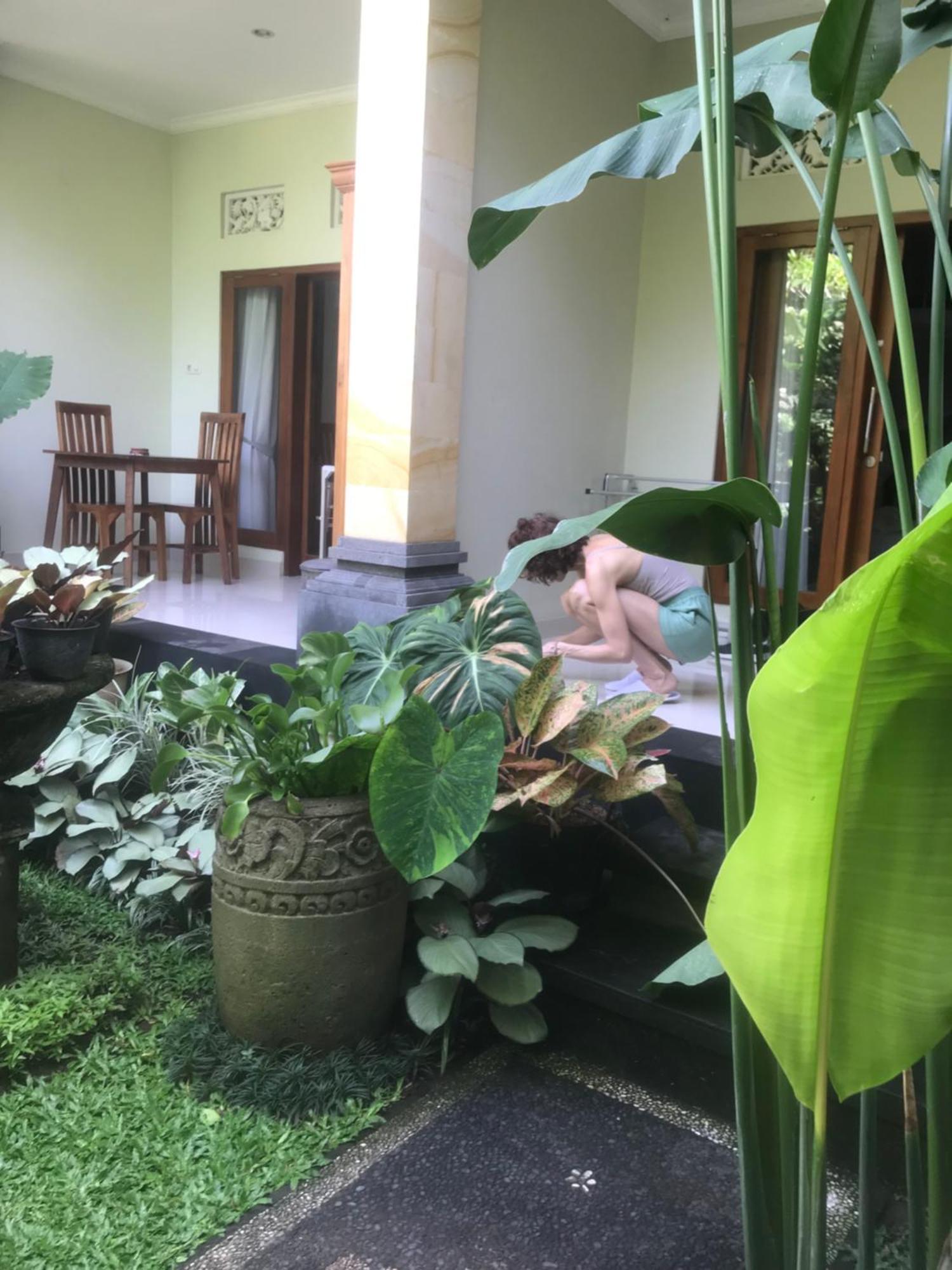Gus Arditya Homestay Ubud Extérieur photo